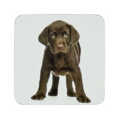 Mars & More glasonderzetter Labrador